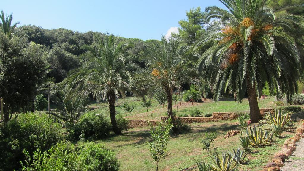 B&B Capo Pero Rio Marina Dış mekan fotoğraf